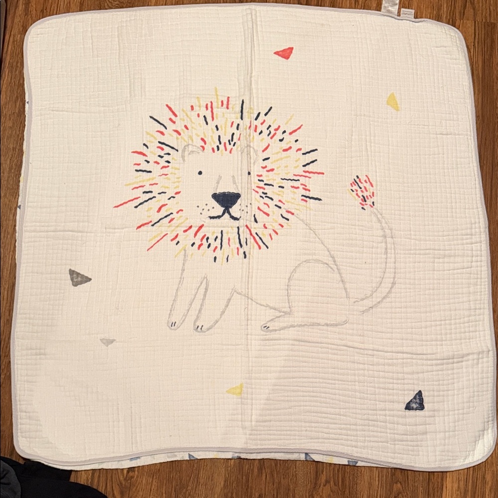 Aden + Anais Adorable Lion Baby Blanket